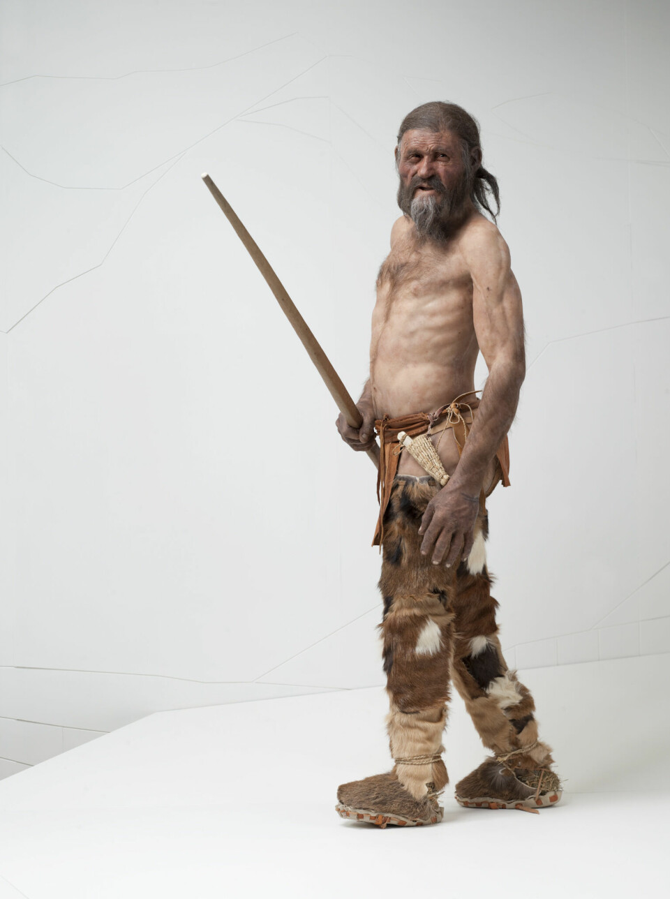En rekonstruksjon av ismannen ved South Tyrol Museum. Den nye studien viser at han hadde mørkere hud og mindre hår enn antatt.