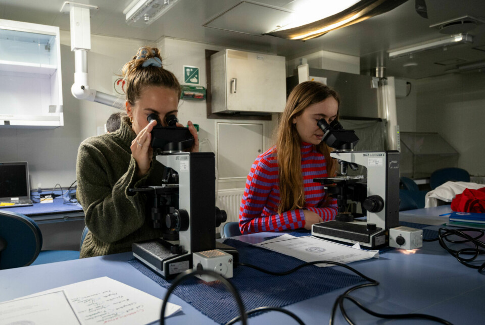 Planteplankton blir studert under et mikroskop av studenter som deltok på toktet.
