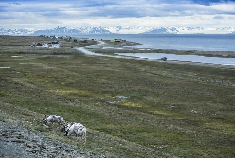 – Tiltak for å begrense klimaendringene er det viktigste vi kan gjøre for å ta vare på det arktiske miljøet, sier Ole Arve Misund. Dette bildet er fra Hotellneset ved Longyearbyen på Svalbard.