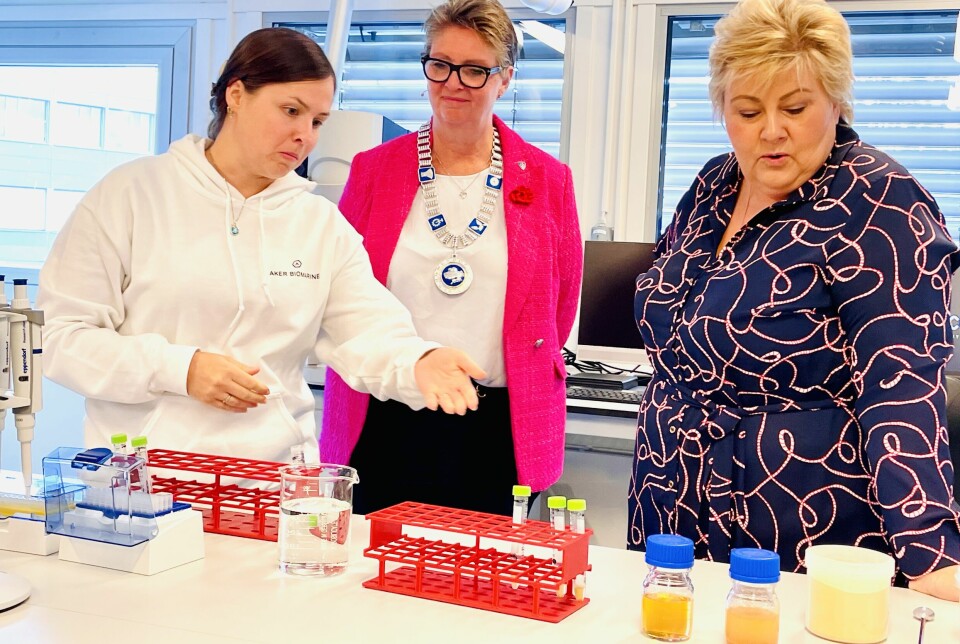 Renate Kristianslund er kvalitets- og matsikkerhetssjef ved Aker BioMarine. Her viser hun ordfører i Nordre Follo kommune Hanne Opdan (Ap) og Erna Solberg (H) det ferdige krillproduktet under åpningen av fabrikken denne uken.
