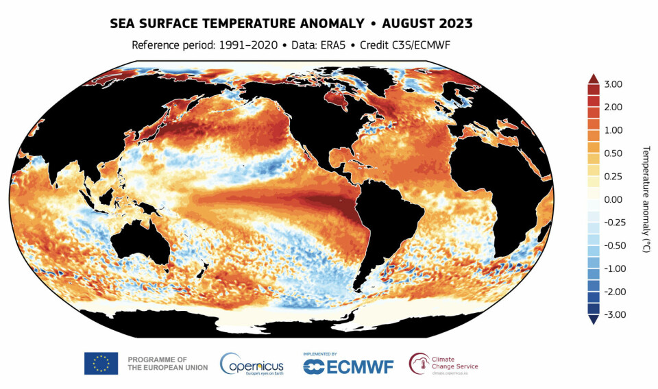 Det var betydelig varmere enn normalt de fleste stedene på verdenshavene i august. Normalperioden er 1991-2020. (Bilde: Copernicus/ECMWF)