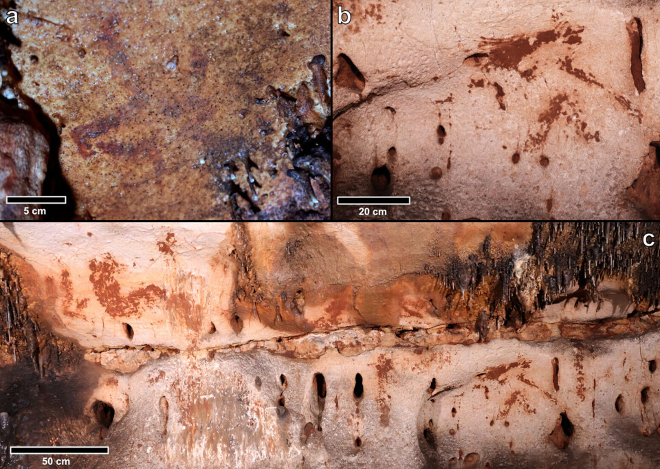 Tre bilder fra grotten Cova Dones i Spania: a) malt hode av den nå utdødde arten urokse, b) hestehode laget av leire, c) panel med flere motiver malt med leire, inkludert dyr og tegn, noen delvis dekket av lag med kalsitt.