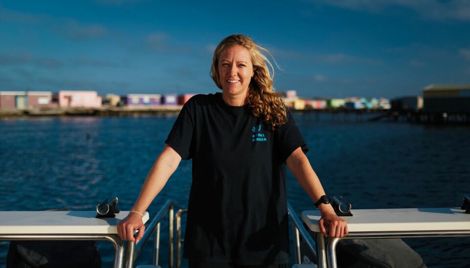 Forsker Taryn Forster prøver å finne ut en løsning på hvordan vi kan redde korallrevet.