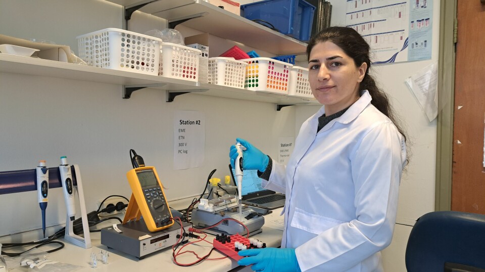 – Peptid fungerer som biomarkørar for ein del sjukdommar, seier Samira Dowlatshah.