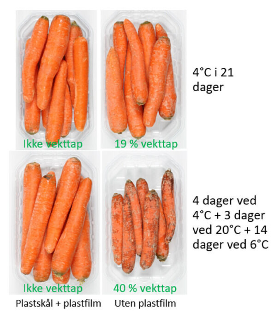 Gulrot lagret kjølig og ved kjøl-rom-kjøl betingelser.