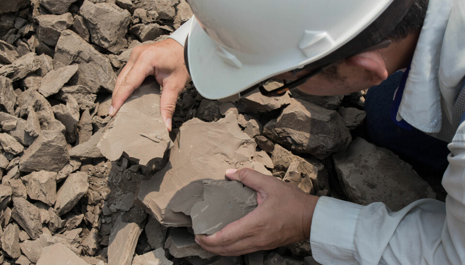 Geologer slikker på steiner. Det har de alltid gjort, ifølge prisvinneren av ig-nobel i geologi.