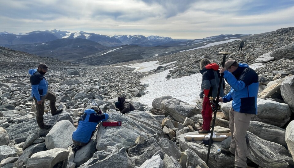 Den ferske ekspedisjonen fant sted på en mindre snøfonn sør for Lendbreen.
