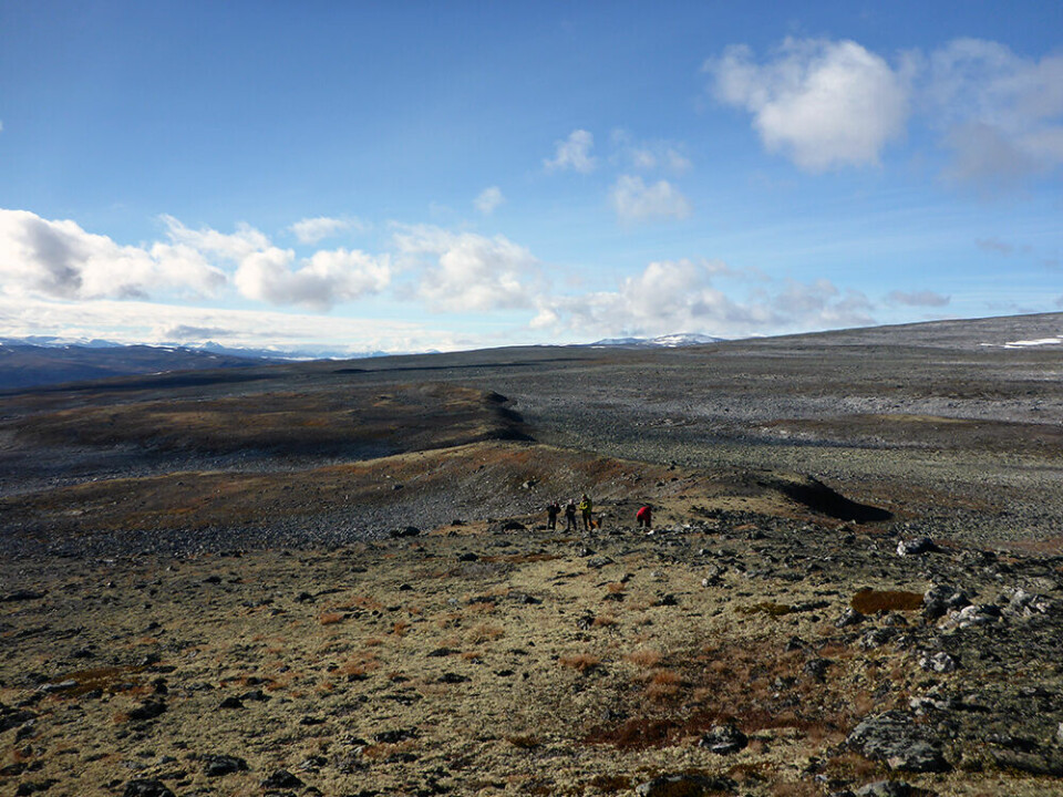 Feltarbeid med prøvetaking av ein morenerygg i Gjelutbotn ved Lordalen i Lesja. Denne moreneryggen ligg over 1500 meter over havet, og er ein av dei høgastliggjande moreneryggane frå siste istid i Norge.