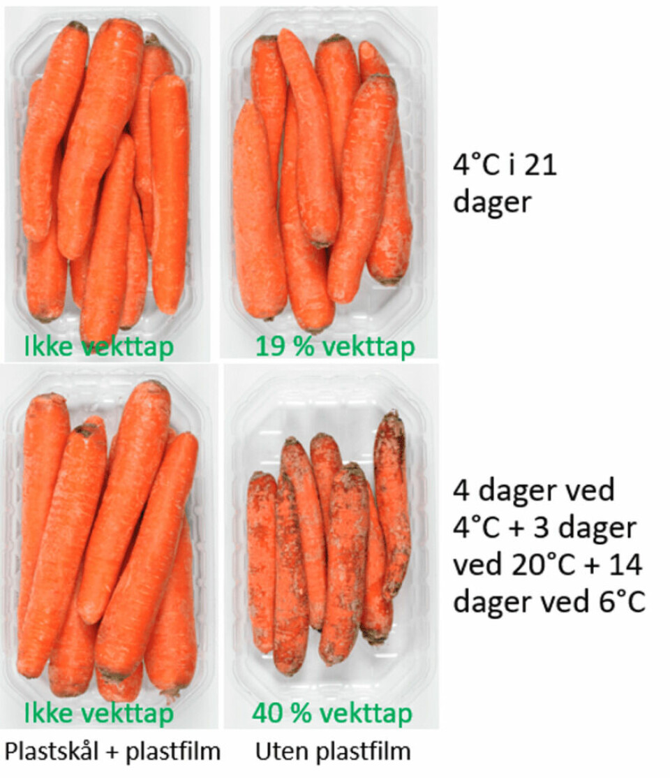 Carrots stored under different conditions. The green text refers to the weight loss. Top row: stored at 4°C for 21 days. Bottom row: stored at 4°C for four days, then three days at 20°C, and finally 14 days at 6°C.