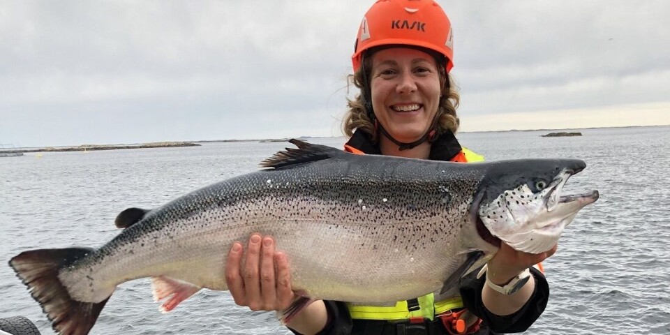 Laksen trives godt med å spise laksehydrolysat, forteller næringsstipendiat Ingrid Schafroth Sandbakken. Men hva er nå det?