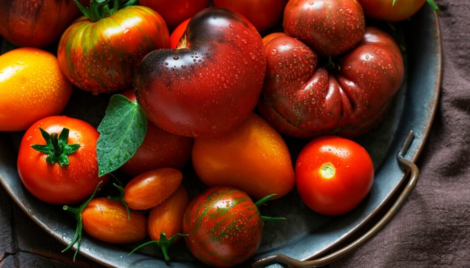 Tomater er en ting som smaker umami.