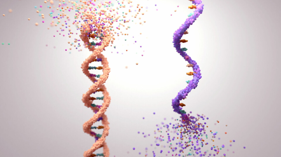 Illustrasjon av DNA, med to tråder, og RNA med en.