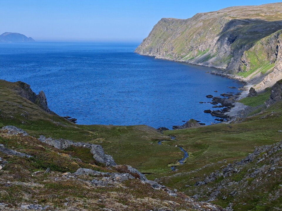 I Finnmark er det store anstander, så forskerne er avhengige av tips fra både kystvakta, havnevesenet og lokalbefolkningen for å finner drivtømmeret.