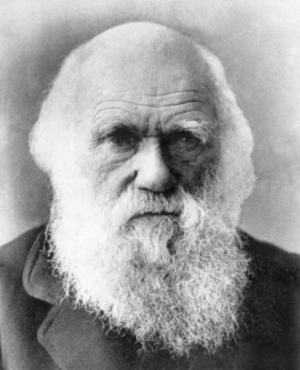 Charles Darwin var en berømt forsker på 1800-taller, og er blant annet kjent for evolusjonsteorien.