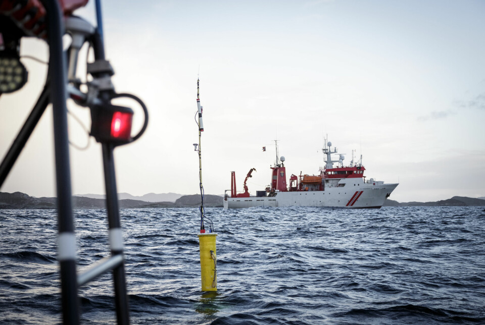 Forskere fra Havforskningsinstituttet og Forsvarets forskningsinstitutt skjøt seismikk på merket torsk i Bakkasundet i Austevoll i 2020 for å registrere hvor høy lyd torsken blir utsatt for.