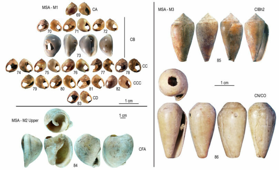 Bilde viser en samling iøynefallende skjell fra Blombos fra 100 til 70.000 år siden.