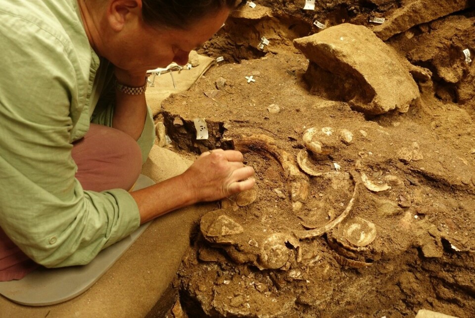Forskernes studie gir viktig informasjon om hvordan og når vi kan ha begynt å utvikle en moderne menneskelig identitet. Bilde som viser utgraving i Blombos-hulen, Sør-Afrika.