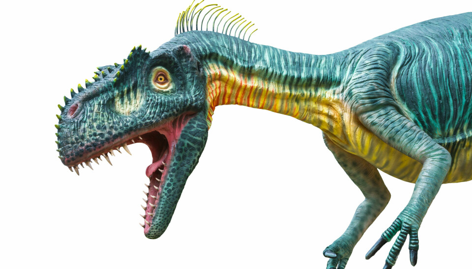 Kanskje Megalosaurus så slik ut? Med sterke farger og skarpe tenner.