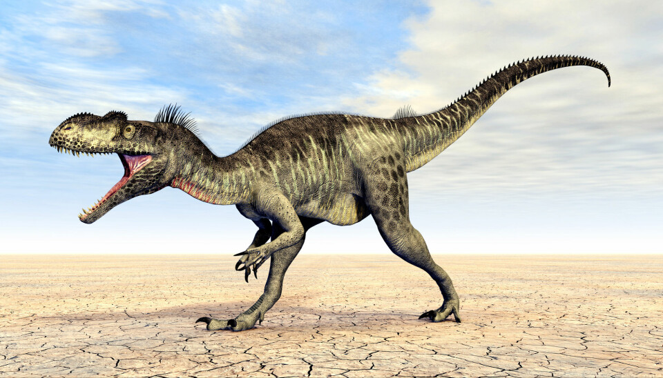 Her er en annen illustrasjon av Megalosaurus. Legger du merke til fjærene på toppen av hodet?