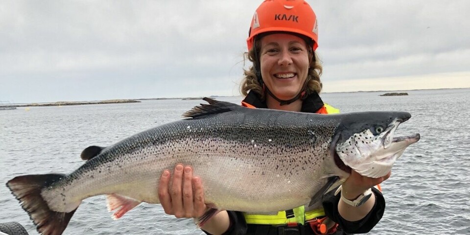 Salmon thrive eating salmon hydrolysate, according to Ingrid Schafroth Sandbakken. But what is that?