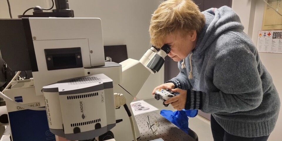 Professor Erika Eiser was part of the group that proved it is possible to identify bacteria and viruses more effectively with a new method.