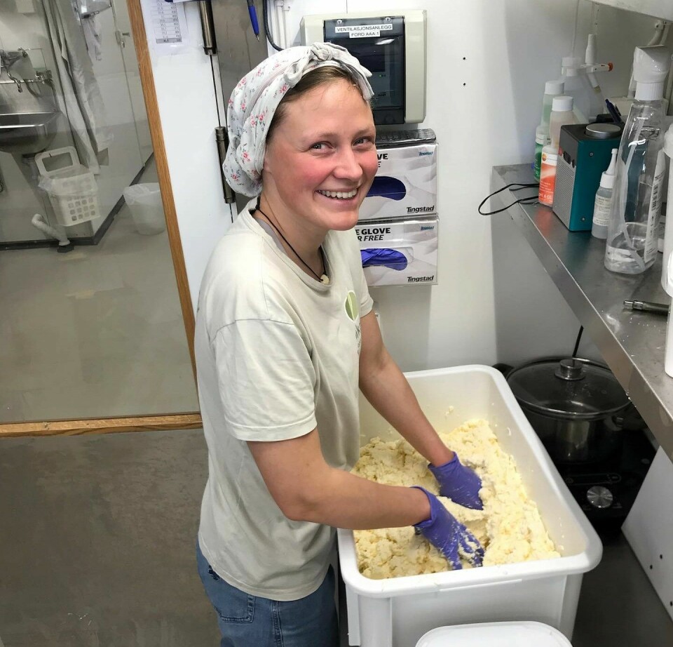 Her er en av de ansatte på ysteriet, Gea Prytz, i gang med å lage ost på Grindal Ysteri i Rennebu.