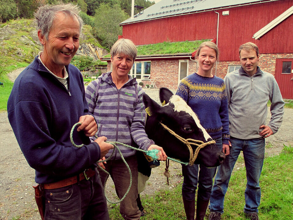 Ragnhild Nordbø driver Grindal Ysteri sammen med Tormod Herre. Her sammen med hennes foreldre Anders Nordbø og Mette Paus Nordbø. (Fra venstre: Anders Nordbø, Mette Paus Nordbø, Ragnhild Nordbø og Tormod Herre)