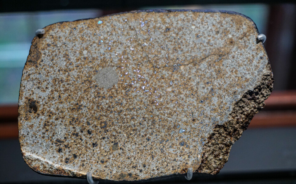 Denne steinmeteoritten har små kuler med litt skinnende metall.