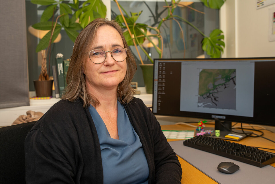 Senior research scientist Ingrid Ellingsen works at SINTEF Ocean’s Fisheries and New Biomarine Industries Department.