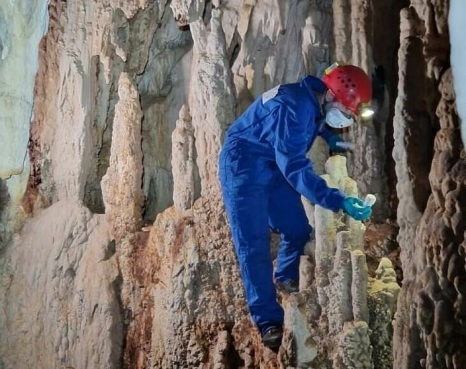 “Dripstones, or speleothems, are unique natural archives - like Earth’s USB sticks,' SapienCE scientist Jenny Maccali says.