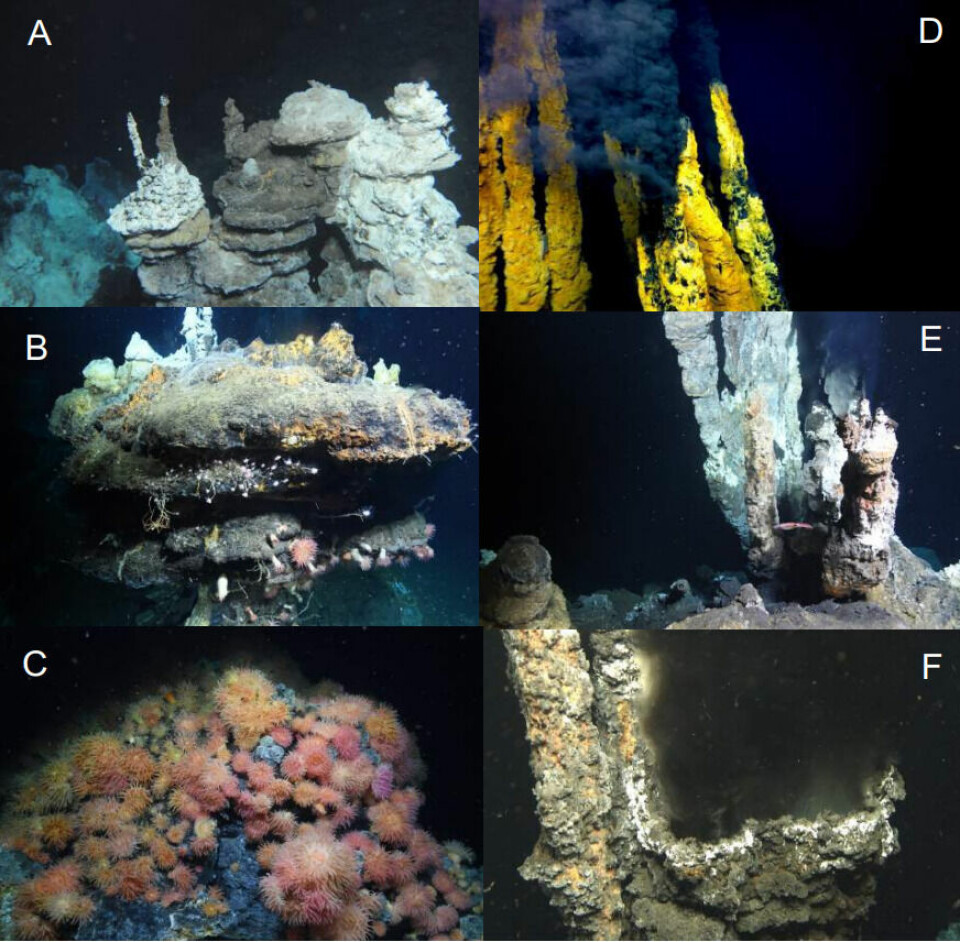 Bilder fra aktive hydrotermiske undervannskilder. Det er på denne typen felt som ikke lenger er aktive, det kan bli gruvedrift.