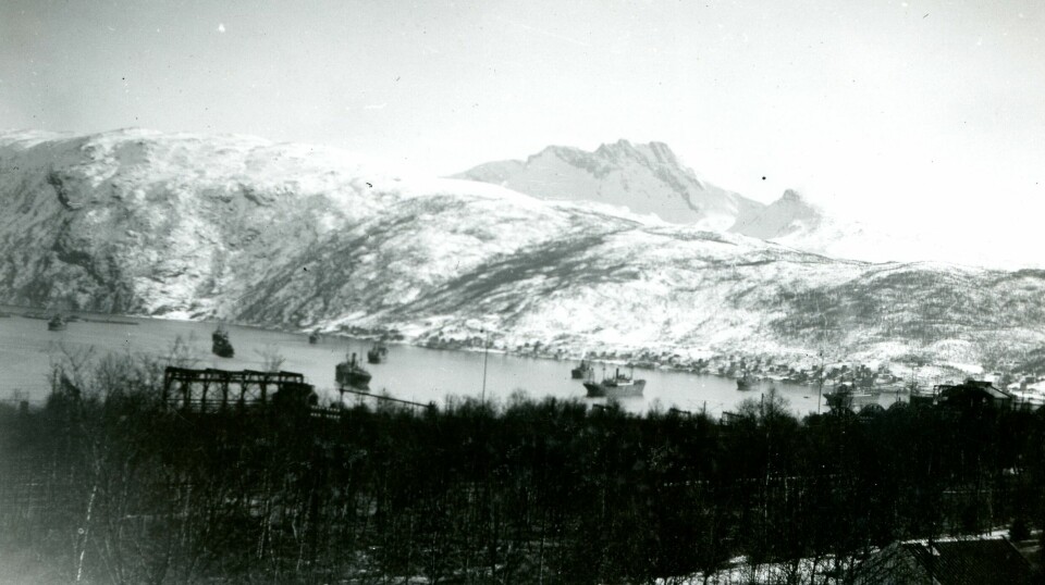 Tilfrysingen av Bottenviken i vintermånedene gjorde at den svenske jernmalmen store deler av året nesten bare kunne eksporteres via Narvik og den isfrie Ofotfjorden. Derfor var byen av strategisk interesse for de krigførende stormaktene. Jernmalmen var spesielt viktig for tysk krigsindustri.