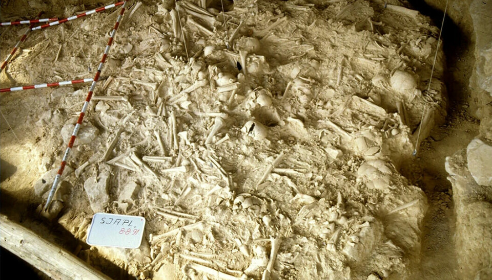Minst 338 mennesker ble begravet i en hule i Spania for 5.000 til 5.400 år siden. 78 av skjelettene hadde merker etter vold.