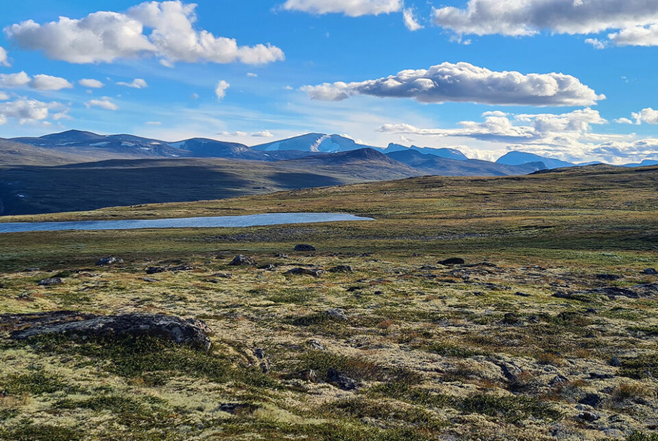 På Gråurdfjellet ved Åmotsdalen på Dovrefjell ble det boret etter gull på 1990-tallet. Aldersdatering av leiromvandlet berggrunn i et borehull viser at omvandlingen skjedde i et tropisk klima i jura tid. Det høyeste fjellet i bakgrunnen er Snøhetta.