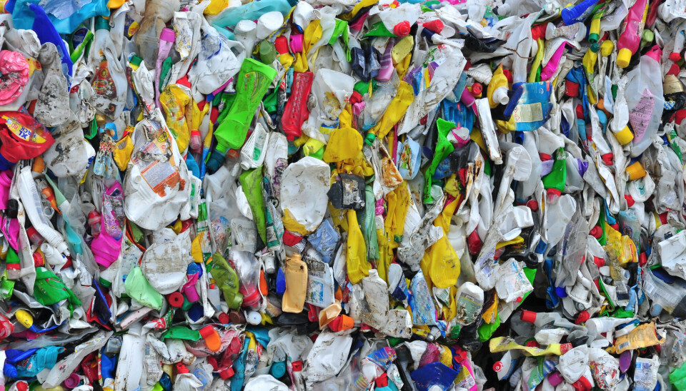 Plastflasker laget av polyethylene, den vanligste plasten, som skal resirkuleres. En nylig publisert studie fant over 400 kjemikalier i resirkulert plast - ikke bare fra den opprinnelige produksjonen av plasten, men også fra det plasten hadde blitt brukt til, for eksempel plantevernmidler og legemidler.