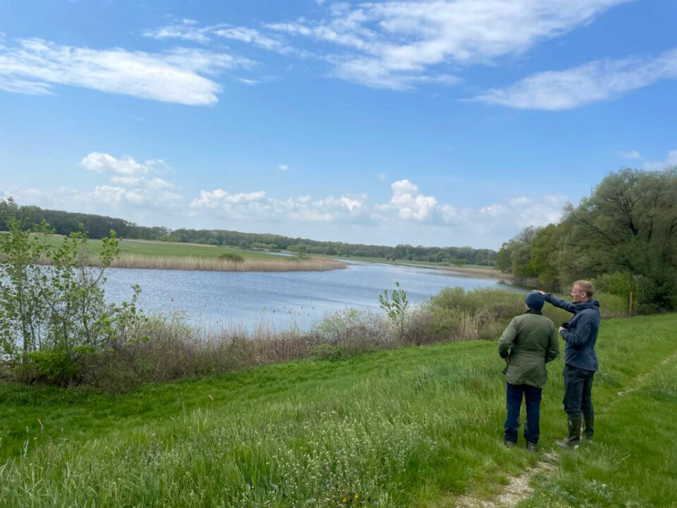 The Morava River floodplains, located in the most western part of Slovakia, is a sanctuary to both ornithologists and migrating birds. The researchers migrated in the opposite direction to the birds, from north to south, to survey species abundance and diversity.