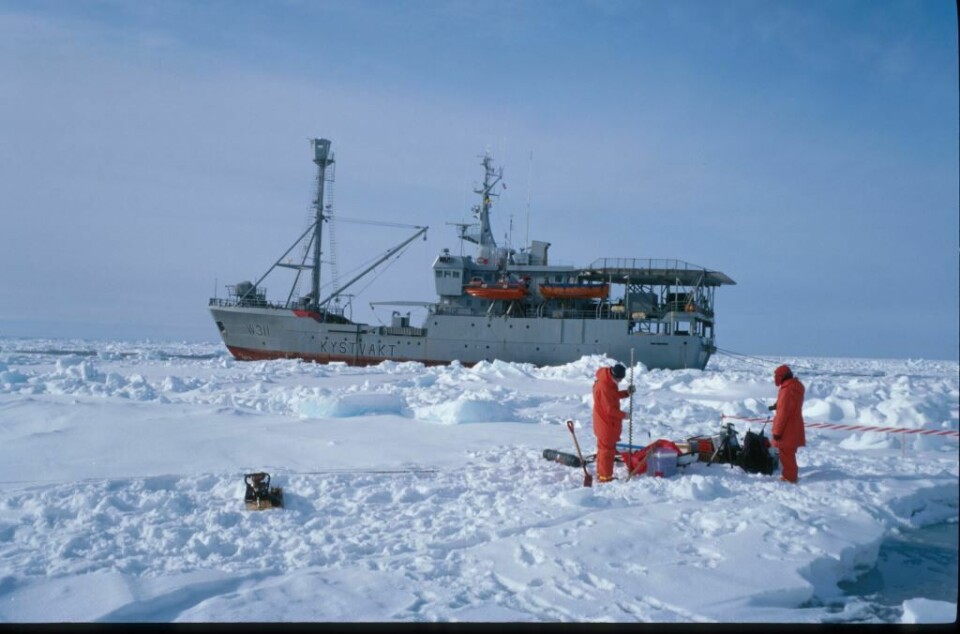 Bilde fra tokt i 1999 med forskningsfartøyet «Lance». Her er det mer snødekke på isen.