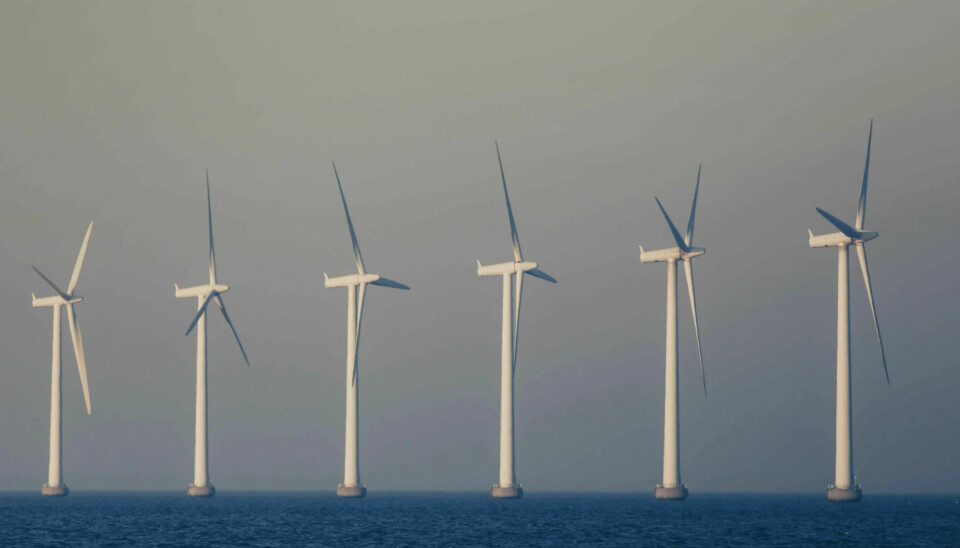 Offshore wind farms can reduce the availability of downstream wind resources of other farms by as much as 20 per cent within 50 kilometres, due to so-called wake effects.