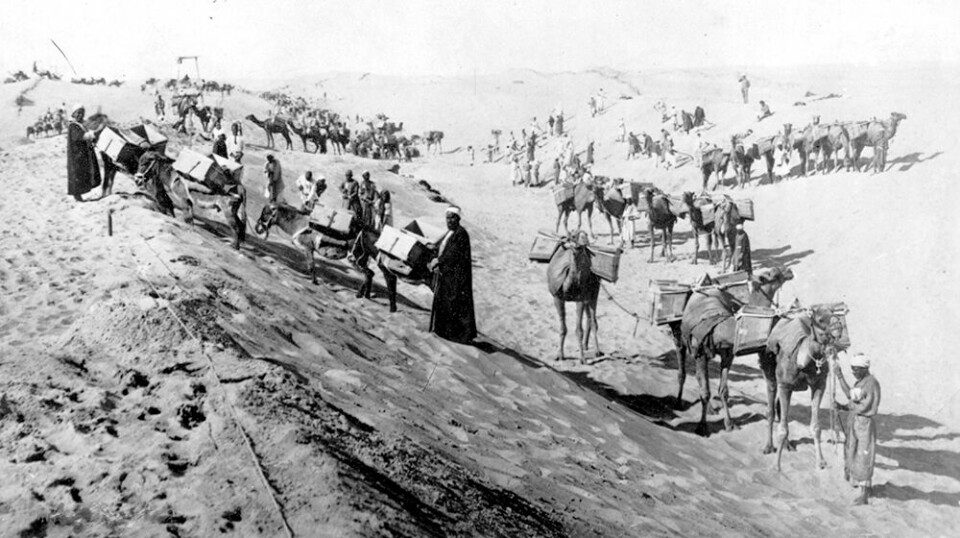 Historiene til de mange arbeidsmigrantene som reiste til Egypt under byggingen av Suezkanalen, har vært lite kjent frem til nå.
