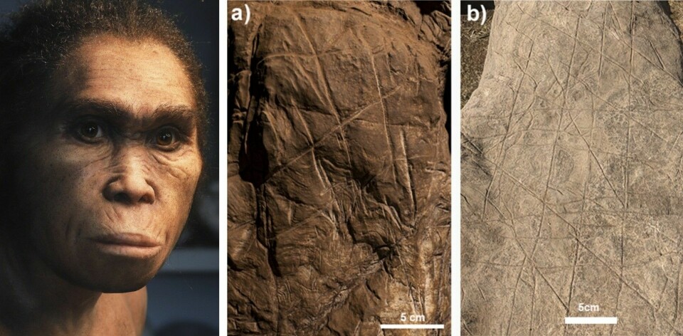 Homo nalediene lagde hulekunst, mener forskerne som fant dem. De viser til bildet i midten av en vegg i Rising Star-hulen. Nei, mener andre forskere og viser til bildet til høyre, som er tatt i en hule i nærheten. Det er samme type stein utsatt for naturlig slitasje fra vær og tid.