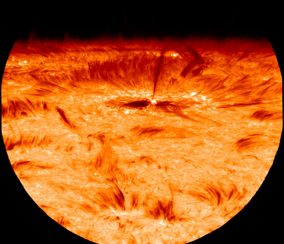 Her ser forskerne på en solflekk på kanten av sola gjennom SST.