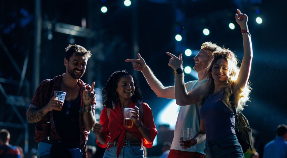 Forskere har funnet frem til fire ulike typer festovergrep