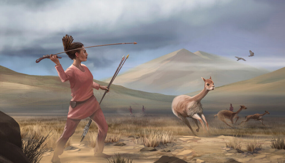 Illustrasjon av en kvinnelig jeger som kan ha levd i Andes-fjellene for 9000 år siden. Studien Female Hunters of the Early Americas kom i 2020, og handler om funn av graver til kvinnelige steinalderjegere som er gravlagt med jaktutstyr.