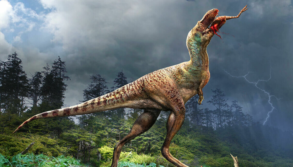 Unge og fullvoksne tyrannosaurer var forskjellige i matveien. De fylte ulike roller i naturen.