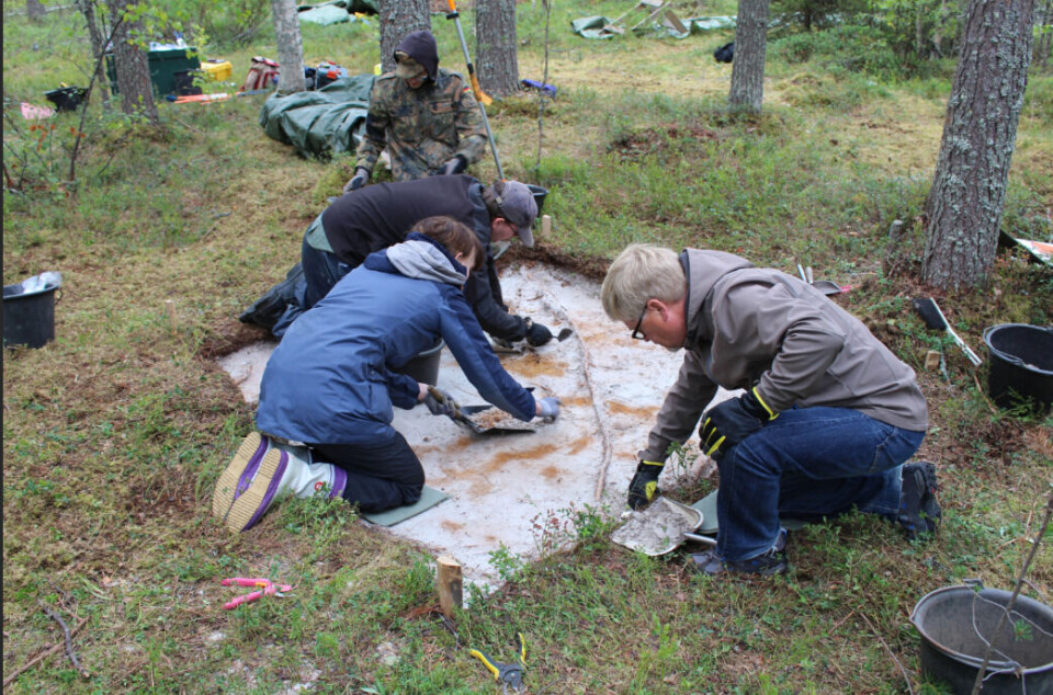Her undersøker arkeologene dette funnstedet, i en ellers ganske vanlig del av de Finske skogene.