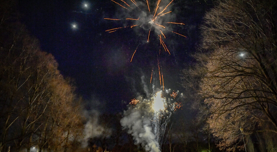 Fugler flyr ut for å redde livet når fyrverkeriet smeller