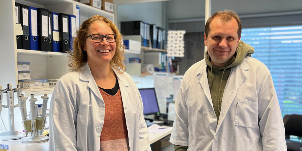 Mona Høysæter Fenstad and Denis Kainov are among the researchers who have looked at the effect of vaccinating people who fell ill with Covid-19 before vaccines became available.