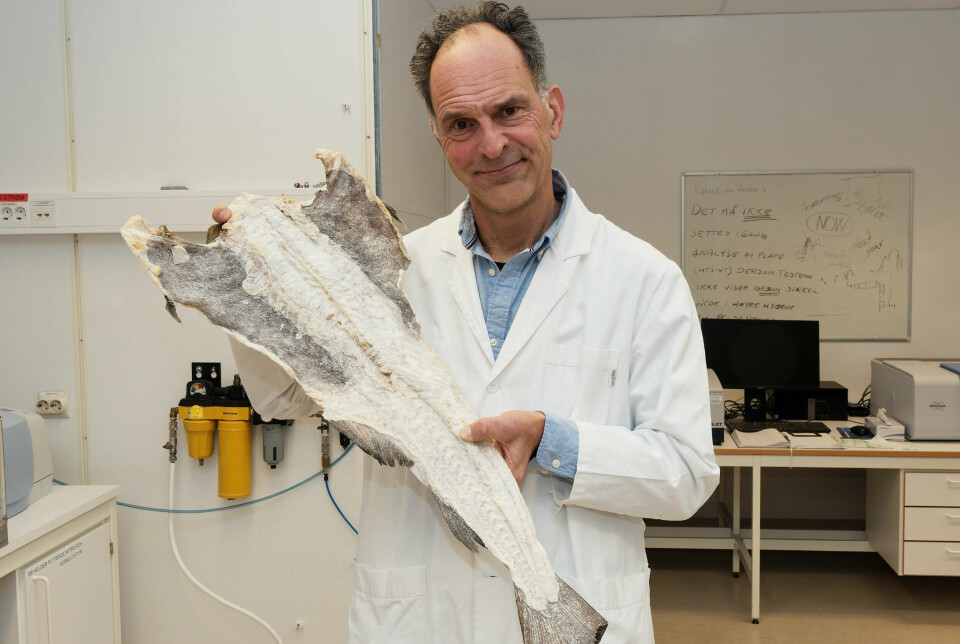 Forsker Jens Petter Wold liker klippfisklukt på laboratoriet, men vanninnholdet kan han ikke lukte seg frem til. Det har han laget en ny måler som tar seg av.