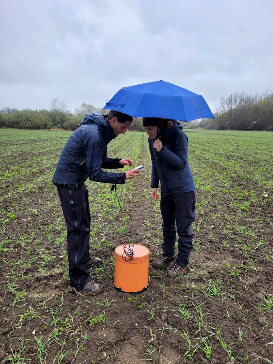 Come rain or shine, the researchers carry out their research.