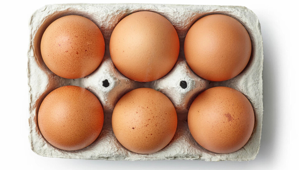 Hvordan virker egg på friske mennesker?